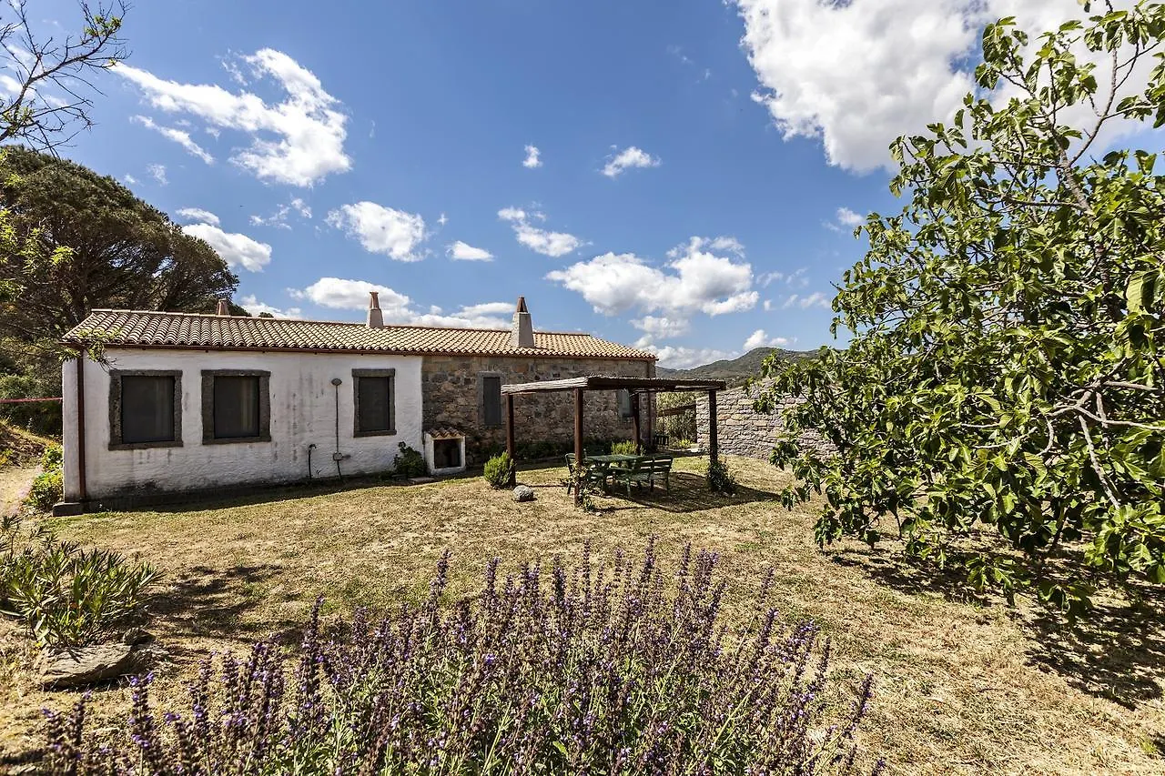 Casa vacanze La Casedda Luogosanto Italia